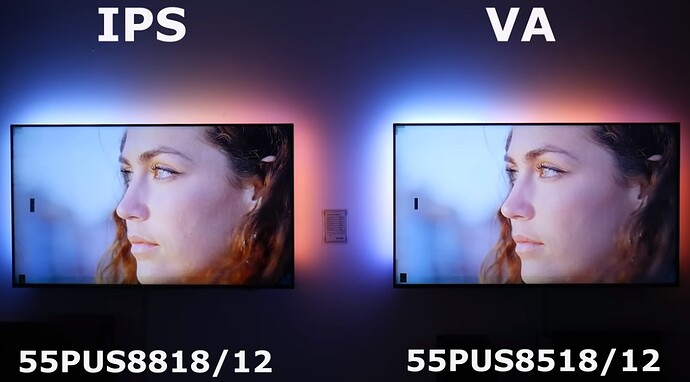 The_One_2023_IPS_VA