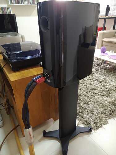 IMG-20230311-WA0149