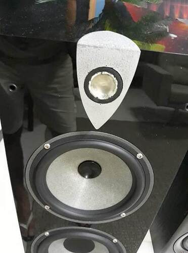 FOCAL Profile 918 Tweeters (001)-